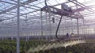 Spuitrobot potplanten spuiten