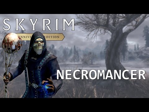 The STRONGEST Necromancer BUILD: Skyrim Anniversary Edition