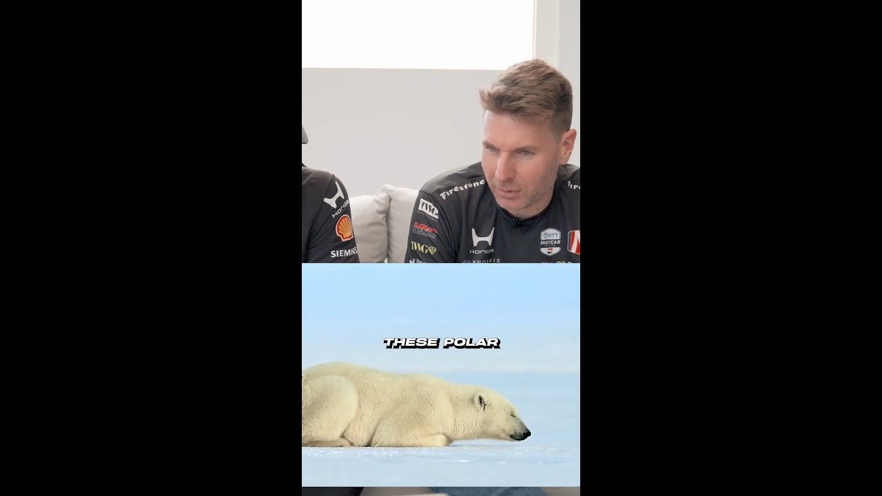 Click to watch the video “Will Power Wants to Cuddle a Polar Bear?!?”