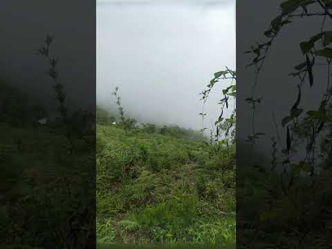 TERRENO RURAL EN GUARANDA DE 7.77 HECTÁREAS ($6,223)