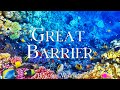 Great Barrier 4K Journey Through Vibrant Coral Reefs And Marine Life With Calming Music