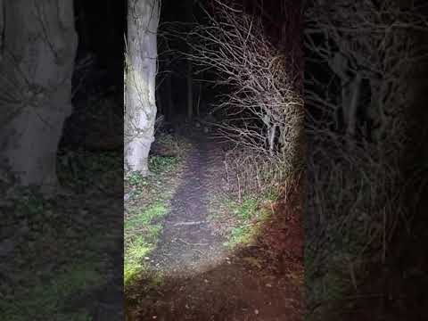 Dissued Railway line investigation