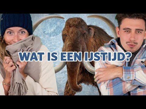 Alles wat je wil weten over Nederland in de IJstijd: van -50°C tot aan de mammoet ❄️