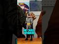 Batman Better Than Superman Here S Why Kids Islamiceducation