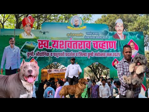 Karad krushi Pradarshan  डॉग शो.. 29.12.2025, #karad #Satara  #Dog show Maharashtra 