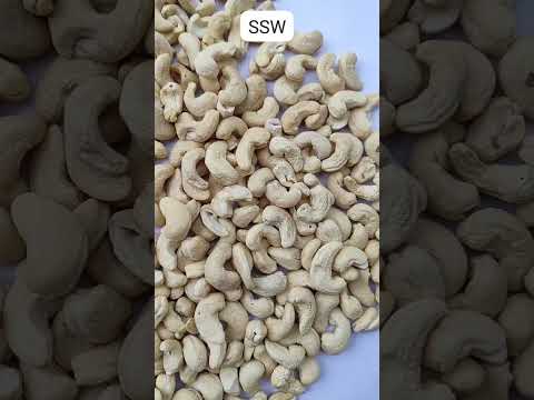 Solitaire SSW CASHEW