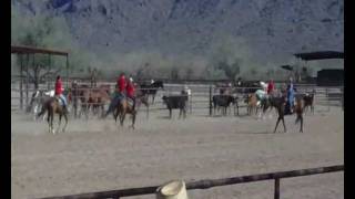 preview picture of video 'City Slickers Cattle Penning at White Stallion Ranch Tucson'
