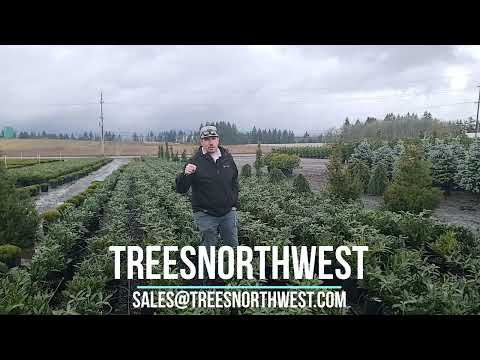 Otto Luyken no further!