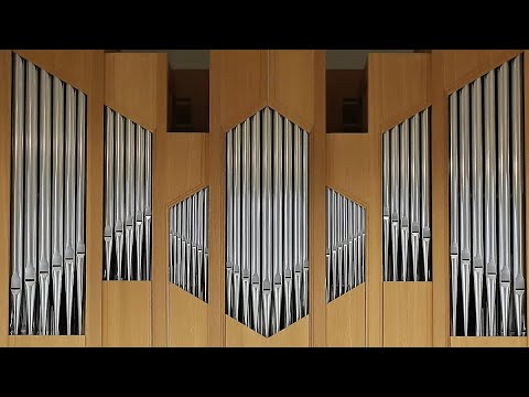 Johann Sebastian Bach: Orgelmarathon | „Nicht Bach, Meer sollte er heißen!“ | Bachfest München 2025