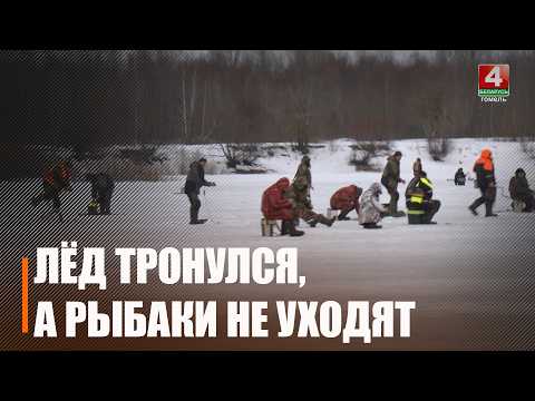 Не уйдет никто! «Пиранья» ищет нерадивых рыбаков на водоемах Гомельщины