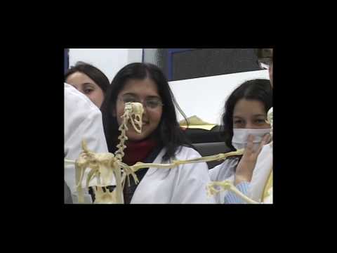 ASMEC - INSTITUCIONAL 2004