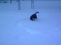 Fletcher delves deep in the PA snow. The video is accompanied  by Mary Flower - "Black Dog"