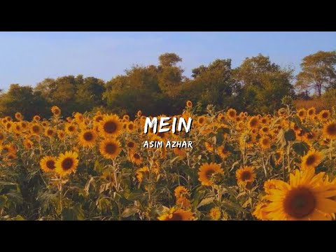 MEIN - ASIM AZHAR