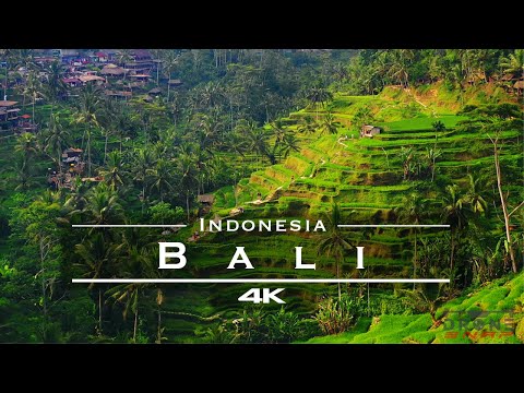Bali, Indonesia 🇮🇩 - by drone [4K]