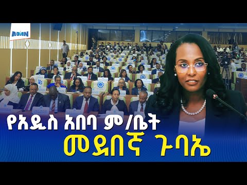 የአዲስ አበባ ከተማ ምክር ቤት 5ኛ ዓመት የሥራ ዘመን 2ኛ መደበኛ ጉባኤ
