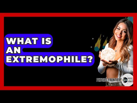 What Is An Extremophile? - Physics Frontier