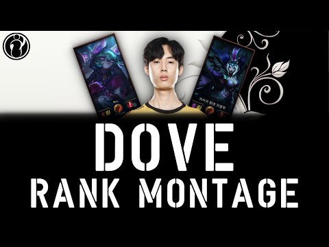 프로게이머 도브 매드무비(LOL Pro League Player Montage) Invictus Gaming Top Laner Dove