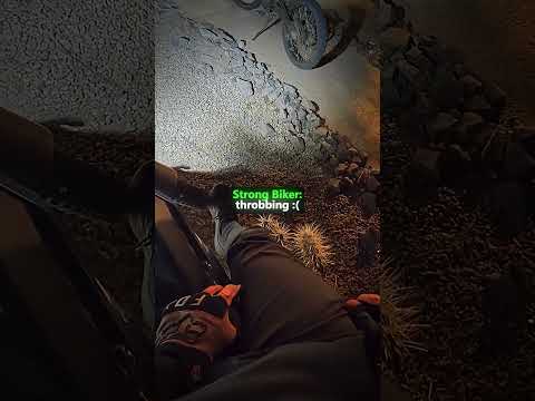 Biker has the WORST luck with this cactus😳