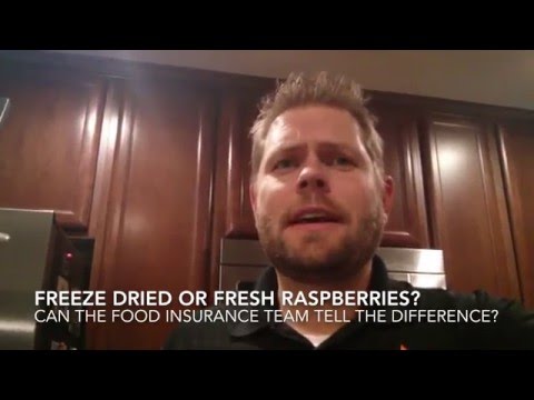 download lagu mp3 mp4 Fresh As Freeze Dried Raspberries, download lagu Fresh As Freeze Dried Raspberries gratis, unduh video klip Fresh As Freeze Dried Raspberries