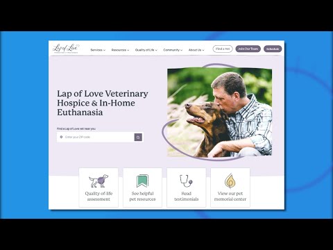 Caring for an Aging or Ailing Pet with In-Home Pet Hospice from Lap of Love