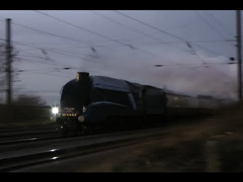 Bittern at 90mph with The Capital Streak