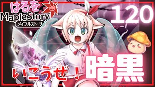 【はるをのメイプル】命だいじに！暗黒part3【火毒281】