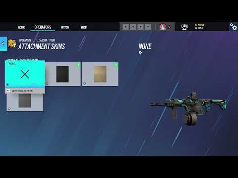 V308 BUG MISSING ATTACHMENT SKIN