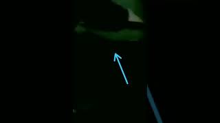 Download lagu viral ///!!kuntilanak di rekam camera  oleh warga 😢😢😢😢😢 mp3