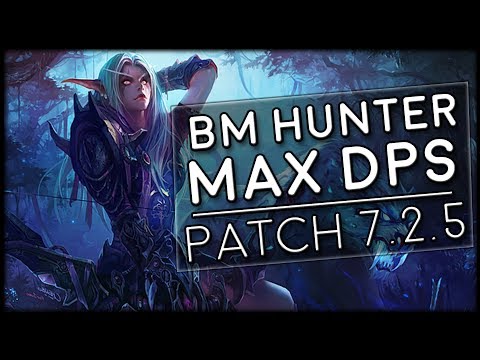 7.2.5 BM Hunter MAX DPS For Tomb of Sargeras! | World of Warcraft Legion