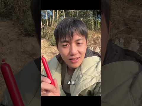 I scratched it twice and became obedient