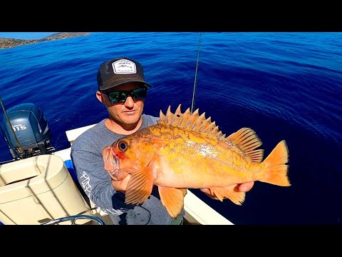 Fishing and Camping Catalina Island! (Rockfish Catch, Clean and Cook)