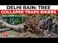 Delhi Tree Collapse: Rain Traps Bikers, Car in Kalkaji; Injuries Reported | India Today News