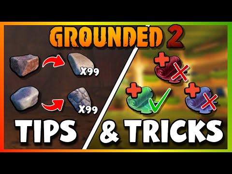 Grounded 2: The Best Tips & Tricks!