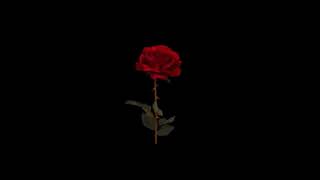 LANY - 4 Stripped Version. ILYSB, Super Far, I Dont Wanna Love You Anymore, Thru These Tears
