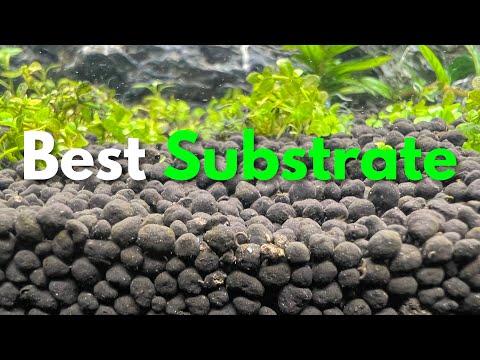 The Best Substrates for Aquascaping & Planted Aquariums