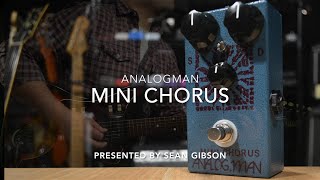 Analog Man Mini Chorus - What To Know & Where To Buy Analog Man Mini Chorus - What To Know & Where To Buy