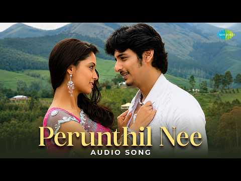 Perunthil Nee (Song)