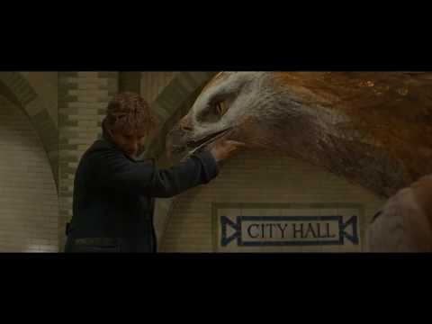 Fantastic Beast And Where To Find Them: Frank Obliviate Whole City Ending Scene 720p