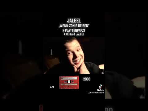 Plattenpapzt feat. Tefla & Jaleel "Wenn Zonis reisen"