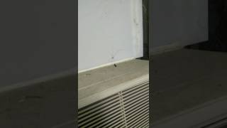 [問卦] 喬丹輔助手推人怎沒成為常規武器