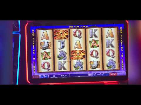 GEORGIA SLOT SKILL MACHINES !! MAX PROGRESSIVE JACKPOT 👁