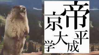 帝京平成大学　ノリノリ絶叫ビーバー　※音量注意　＃帝京平成大学　#絶叫ビーバー　#絶叫するビーバー