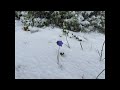 Vladislav Delay - Levite (Alt. Take)