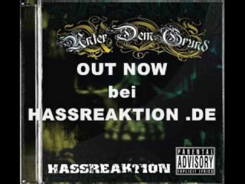 Hassreaktion - Sag Mir 14