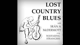 The Wayfaring Stranger  Seán A McDermott &amp; the Wayfaring Strangers