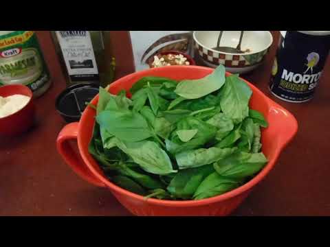 download lagu mp3 mp4 Magic Bullet Pesto Sauce, download lagu Magic Bullet Pesto Sauce gratis, unduh video klip Magic Bullet Pesto Sauce