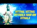 Vitthal Vitthal Vitthala Hari Om Vithala : विठ्ठल  विठ्ठला हरी ओम विठ्ठल