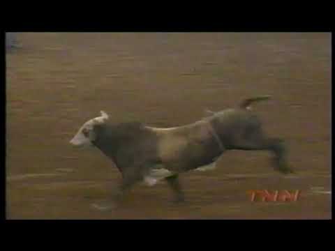 Hard Copy slams Brock Mortensen - 98 PBR Guthrie