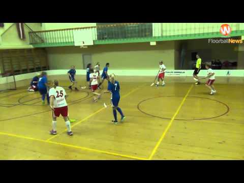 Rigas Lauvas - LiepU 6:2 (03.11.2013)