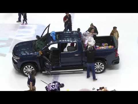 download lagu mp3 mp4 Stingray Teddy, download lagu Stingray Teddy gratis, unduh video klip Stingray Teddy